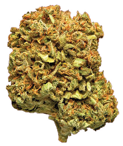 תפרחת הליוס