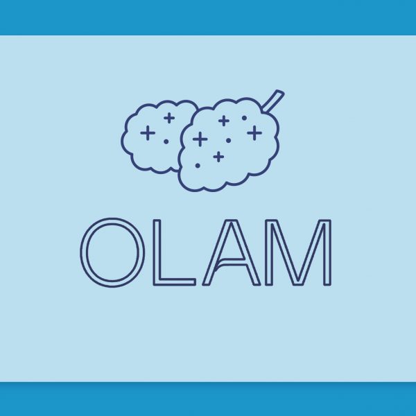 הכירו את סדרת המוצרים החדשה של מותג OLAM, קנאביס כחול-לבן