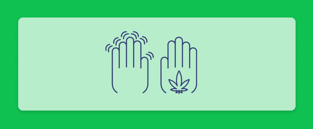 קנאביס רפואי ופרקינסון: התוויה רפואית, השפעות, מחקרים והזן בלאק לסיוע בסימפטומים