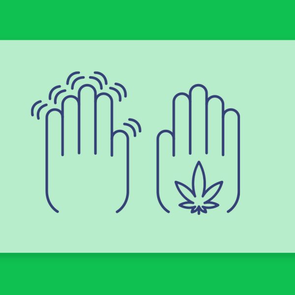 קנאביס רפואי ופרקינסון: התוויה רפואית, השפעות, מחקרים והזן בלאק לסיוע בסימפטומים