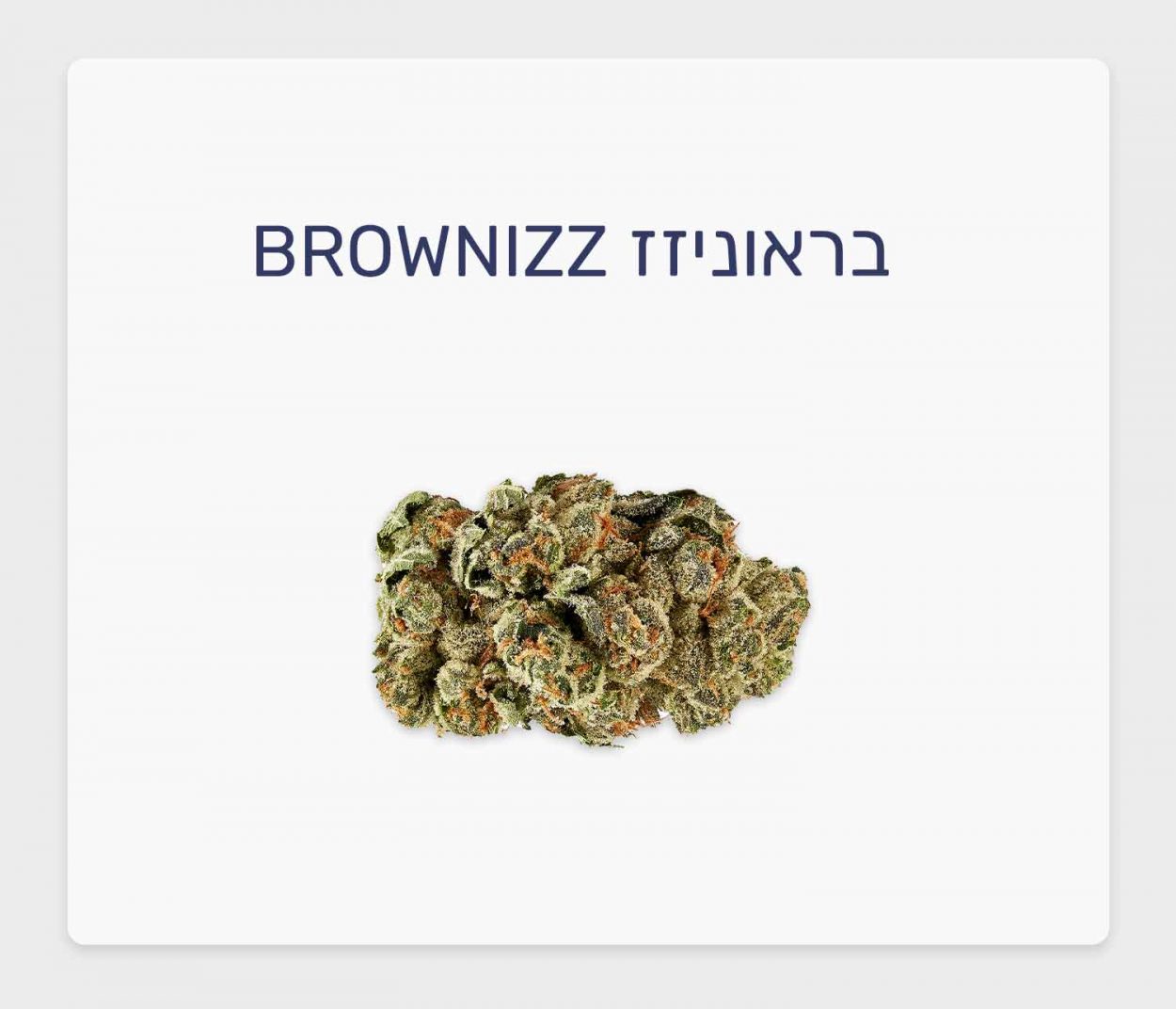 סקירת זן קנאביס רפואי בראוניזז – תפרחת T20/C4 אינדיקה