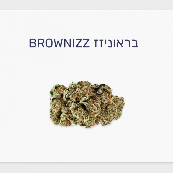 סקירת זן קנאביס רפואי בראוניזז – תפרחת T20/C4 אינדיקה