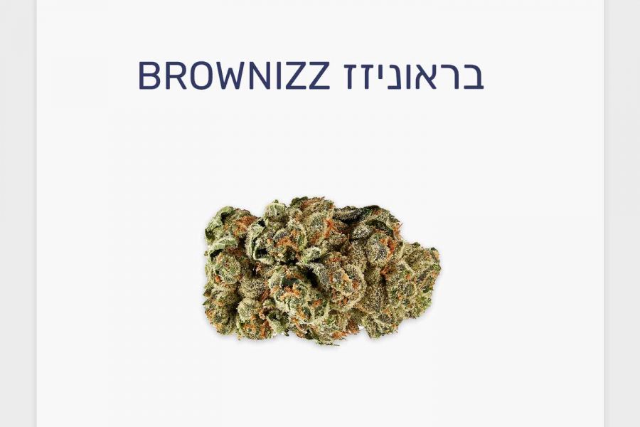 סקירת זן קנאביס רפואי בראוניזז – תפרחת T20/C4 אינדיקה