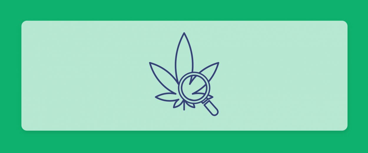 סיכום השבוע שהיה - עדכוני זנים של תפרחות ושמני קנאביס רפואי מהשבוע האחרון 7.4.22