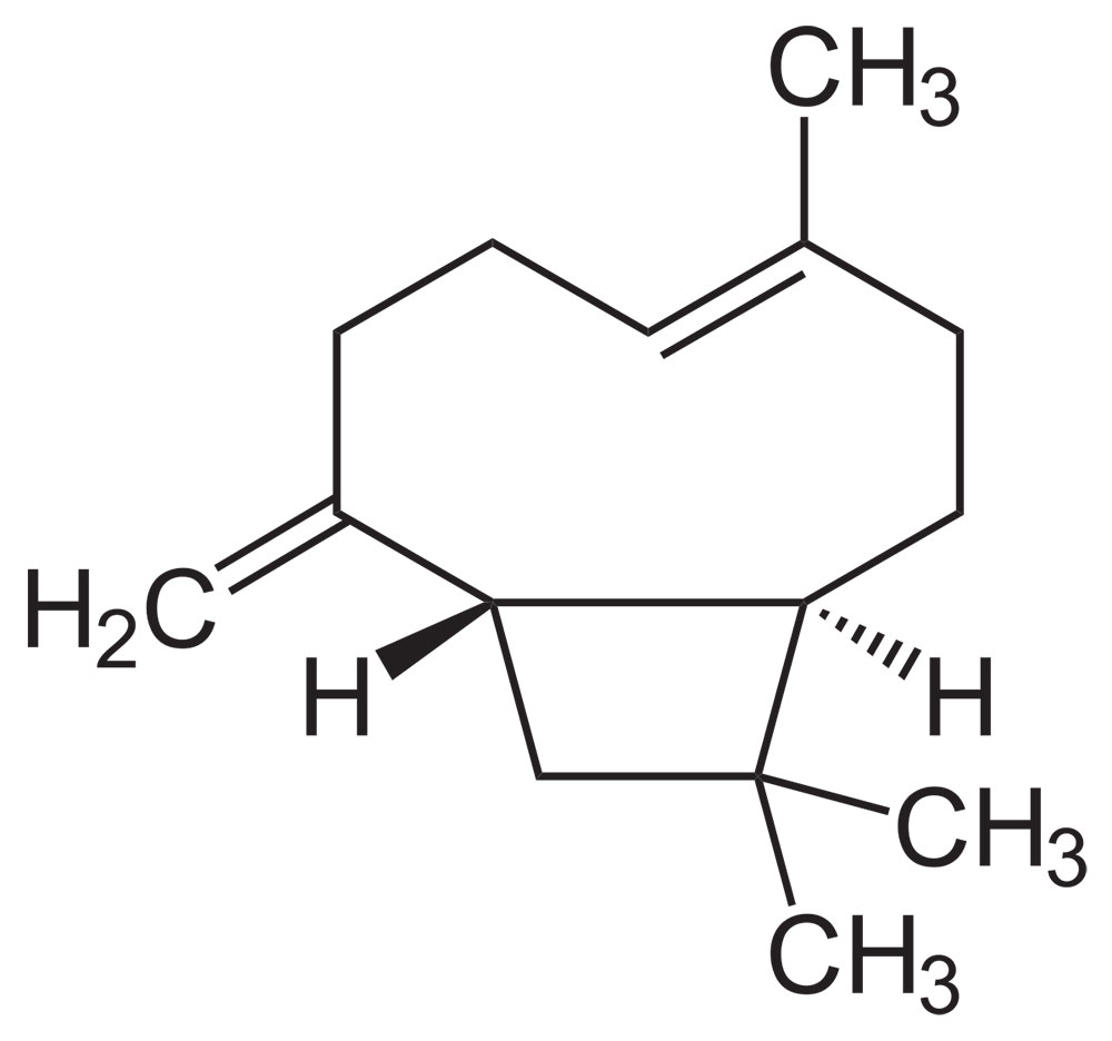קריופילן מולקולה