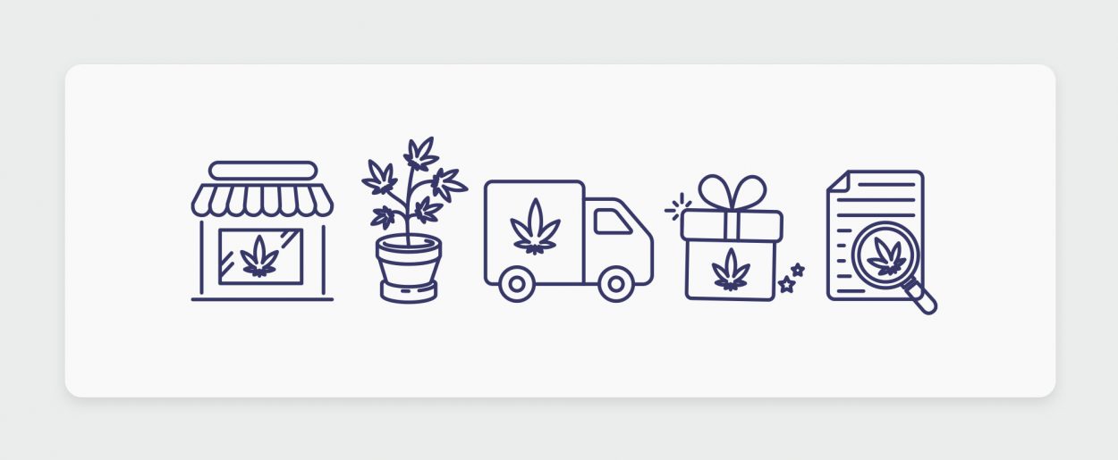 כל מה שצריך לדעת על קנאביס רפואי - זנים, מלאי, בתי מרקחת, רופאים ורישיון קנאביס רפואי