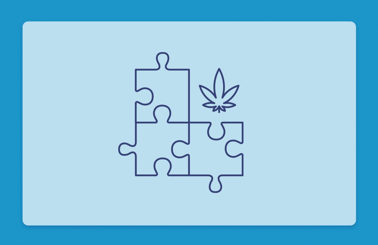 קנאביס רפואי והפרעת הרצף האוטיסטי ASD: מחקרים ושמני קנאביס רפואי