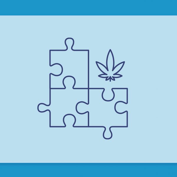 קנאביס רפואי והפרעת הרצף האוטיסטי ASD: מחקרים ושמני קנאביס רפואי