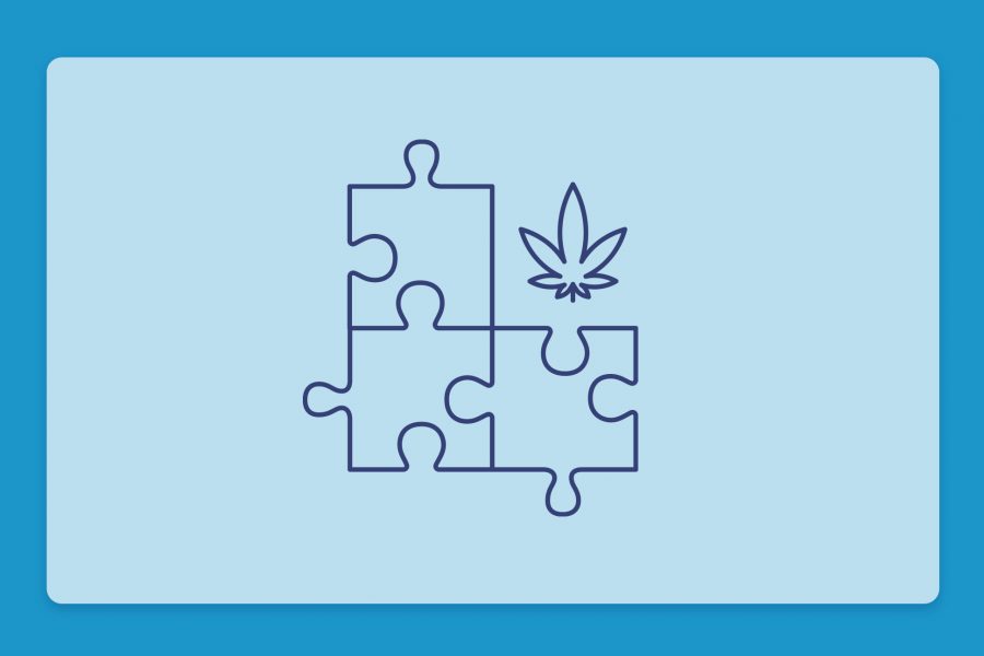 קנאביס רפואי והפרעת הרצף האוטיסטי ASD: מחקרים ושמני קנאביס רפואי