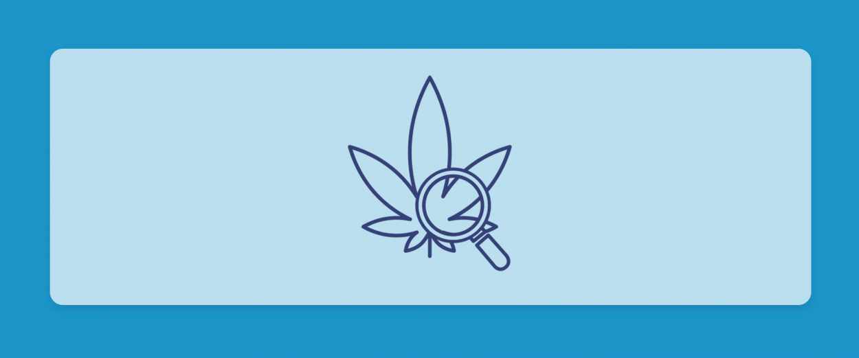 סיכום השבוע שהיה - עדכוני זנים של תפרחות ושמני קנאביס רפואי מהשבוע האחרון 21.4.22