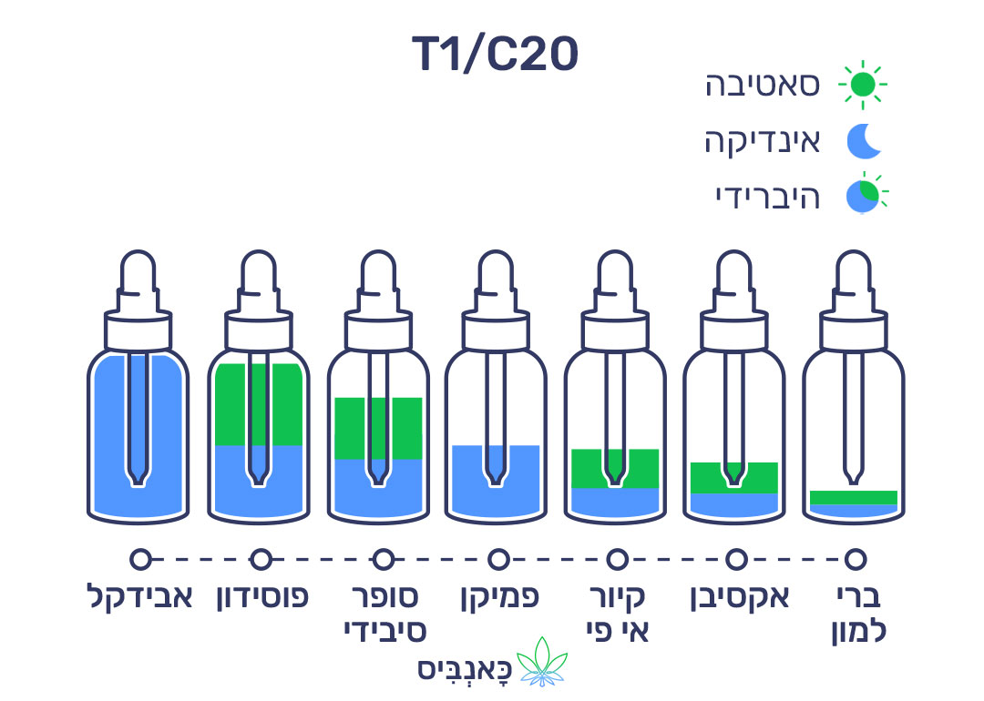 מרץ 22 T1