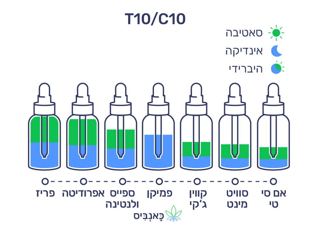 מרץ 22 T10