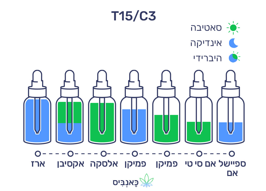 מרץ 22 T15