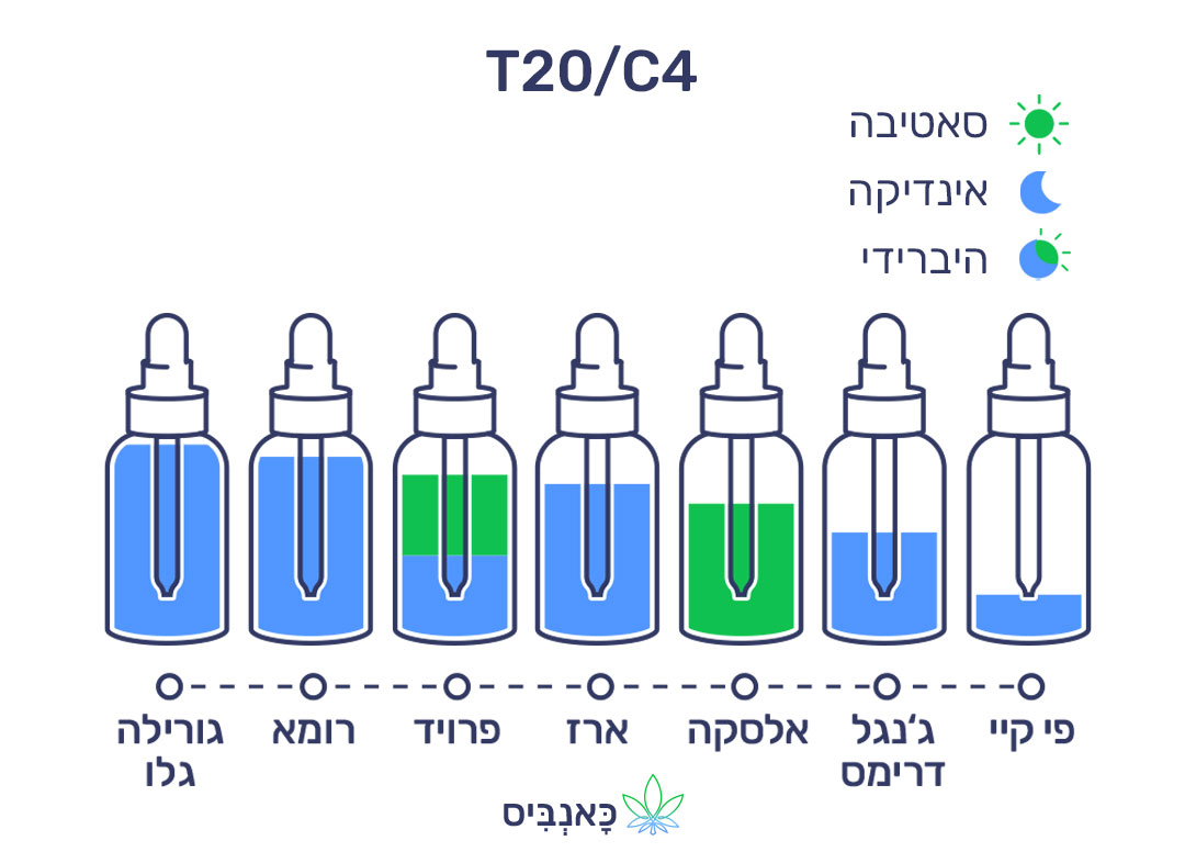 מרץ 22 T20