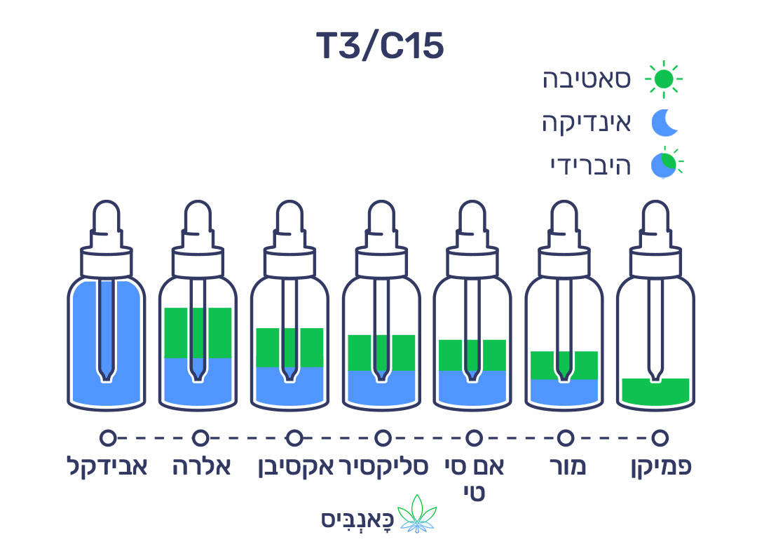 מרץ 22 T3