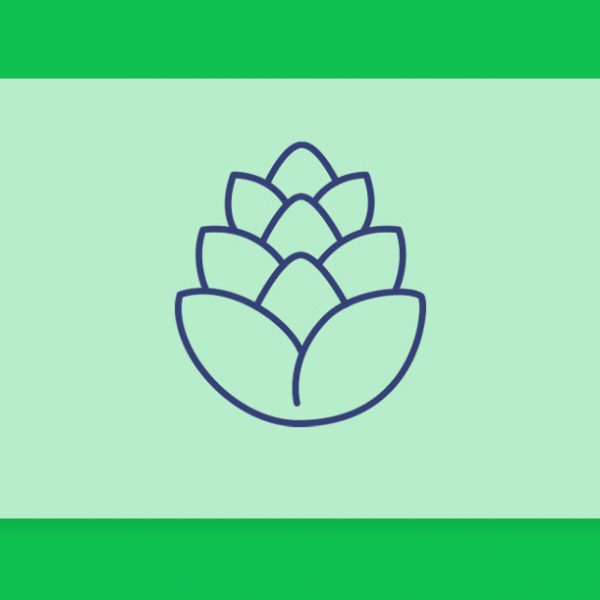 טרפנים 101#: הכל על הטרפן הומולן Humulene