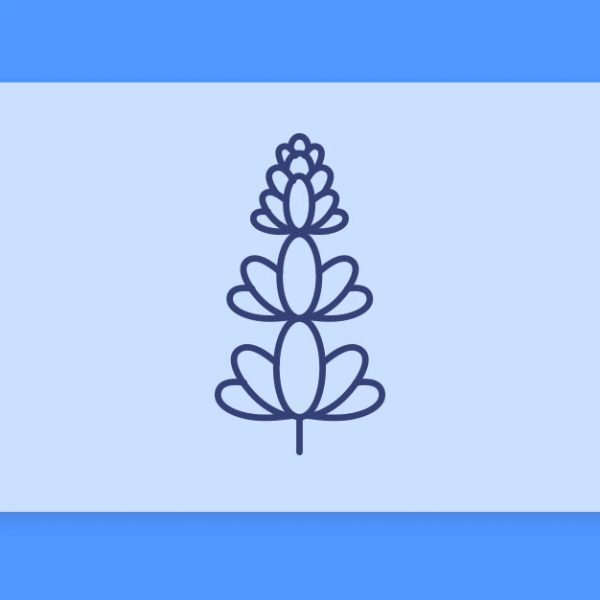 טרפנים 101#: הכל על הטרפן לינלול Linalool