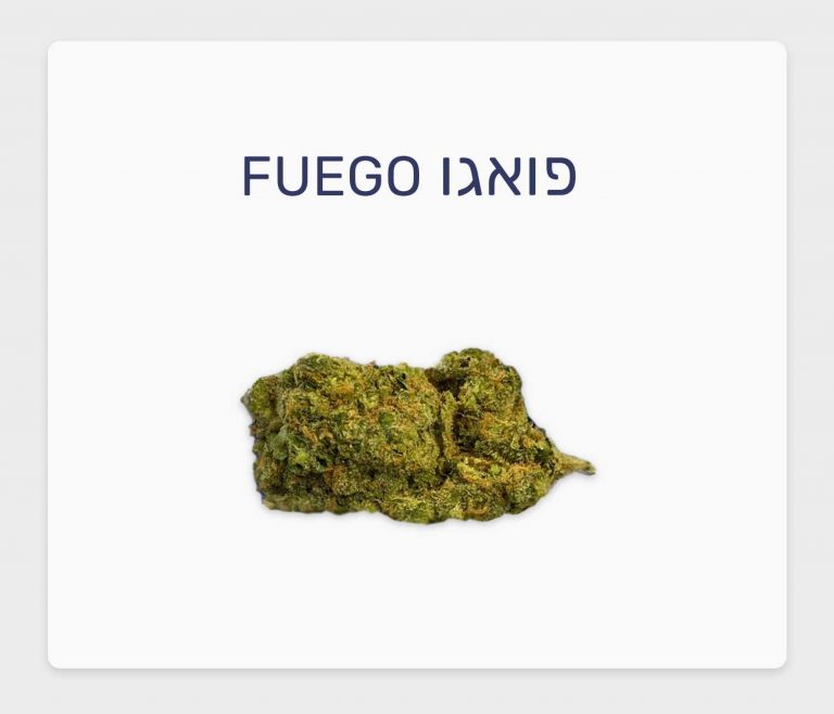 סקירת זן פואגו – תפרחת קנאביס רפואי T20/C4 סאטיבה