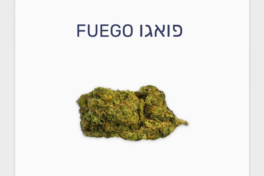 סקירת זן פואגו – תפרחת קנאביס רפואי T20/C4 סאטיבה