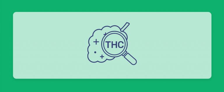 קנאביס עם אחוזי THC גבוהים, האם זה באמת מה שאנחנו צריכים לחפש?