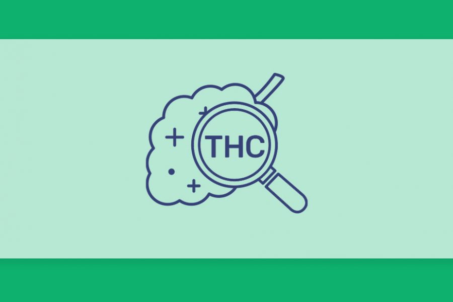 קנאביס עם אחוזי THC גבוהים, האם זה באמת מה שאנחנו צריכים לחפש?