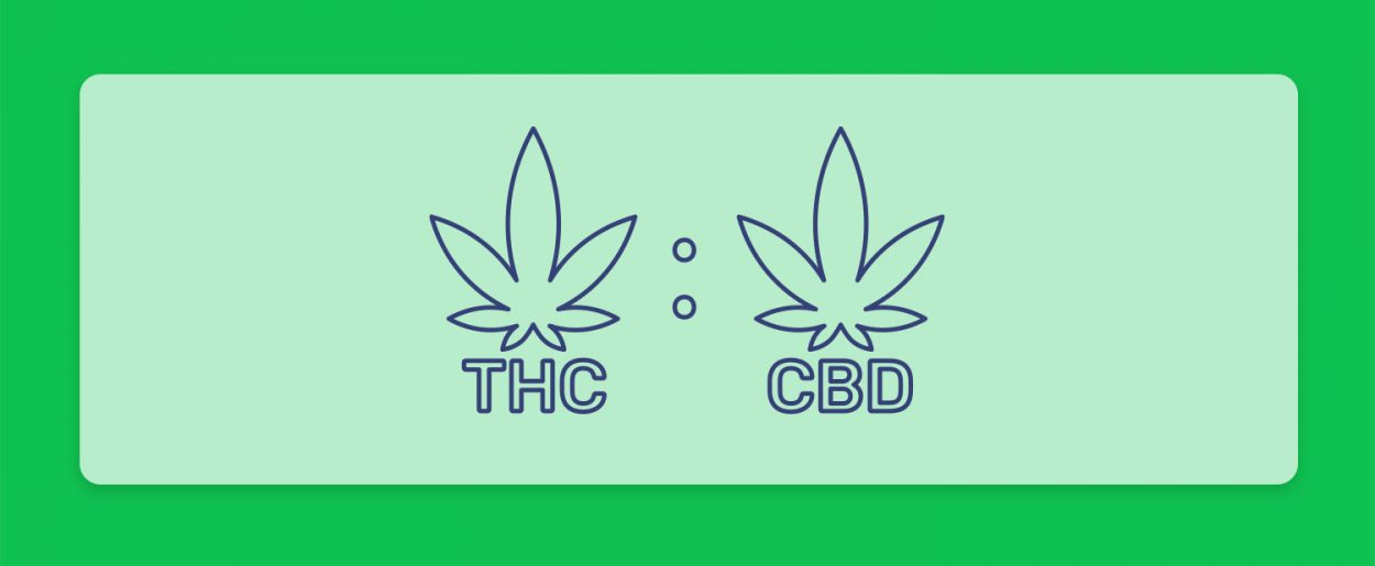 יחס הזהב - זני קנאביס עם יחס 1:1 של THC ו-CBD