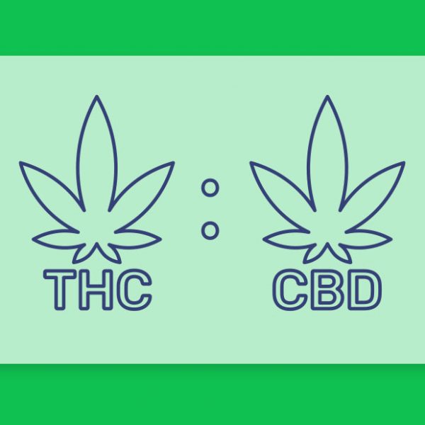 יחס הזהב - זני קנאביס עם יחס 1:1 של THC ו-CBD