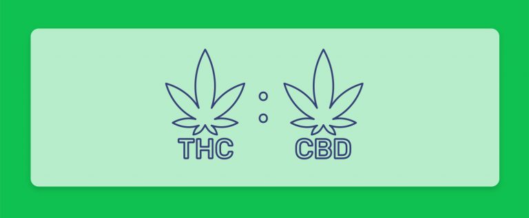 יחס הזהב - זני קנאביס עם יחס 1:1 של THC ו-CBD