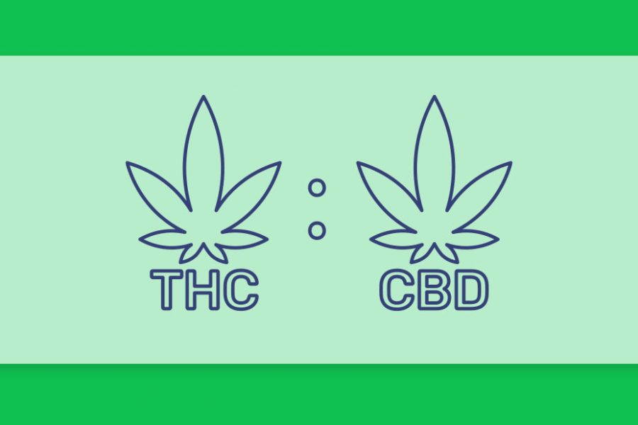יחס הזהב - זני קנאביס עם יחס 1:1 של THC ו-CBD