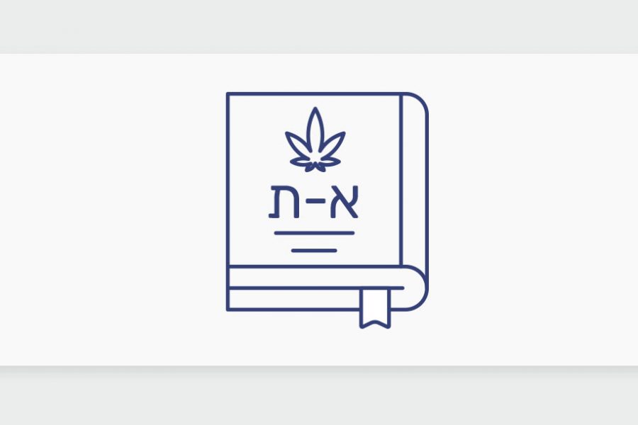 מונחי קנאביס רפואי למטופל המתחיל