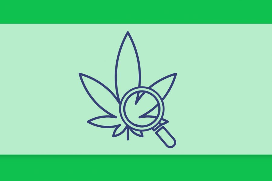 סיכום השבוע שהיה - עדכוני זנים של תפרחות ושמני קנאביס רפואי מהשבוע האחרון 12.5.22