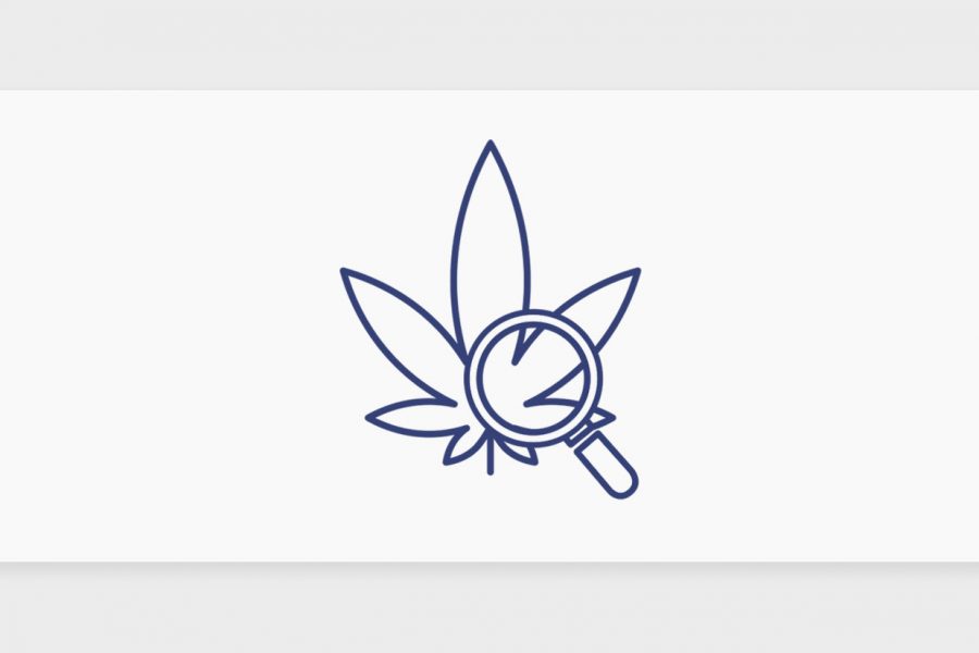 עדכוני קנאביס רפואי תפרחות ושמני קנאביס רפואי, סיכום השבוע שהיה 13.10.22