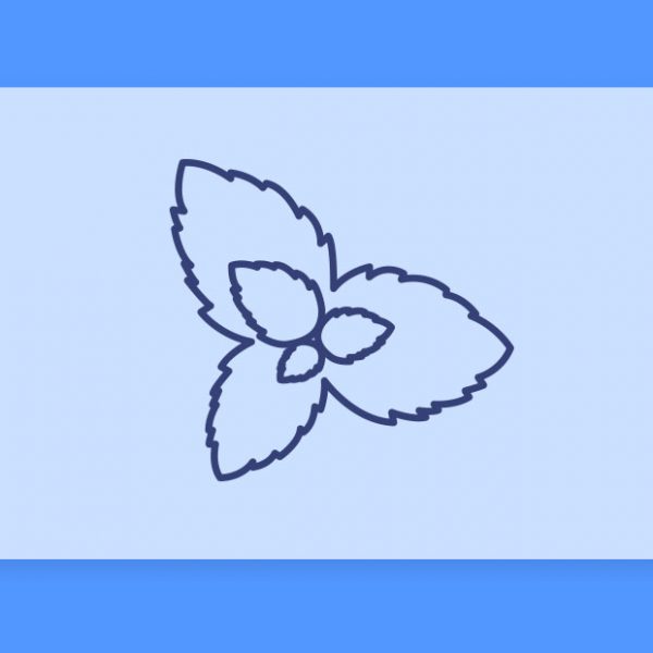 טרפנים 101#: הכל על הטרפן אוסימין Ocimene