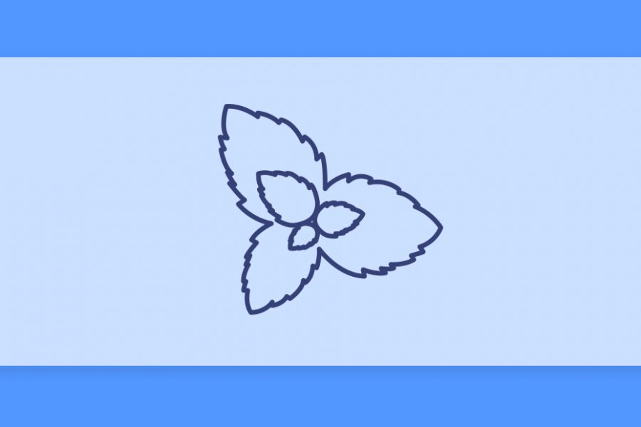 טרפנים 101#: הכל על הטרפן אוסימין Ocimene