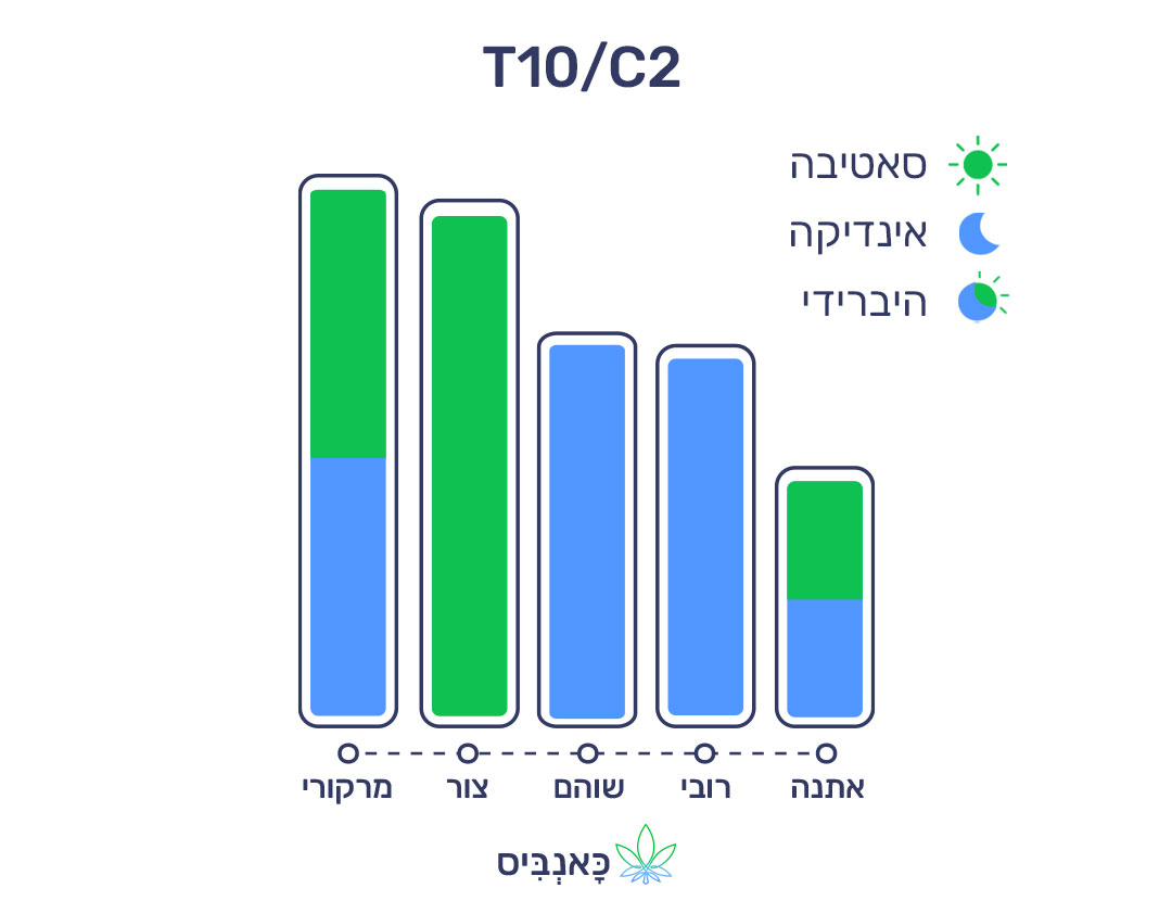 8.6.22 דירוג זנים T10C2