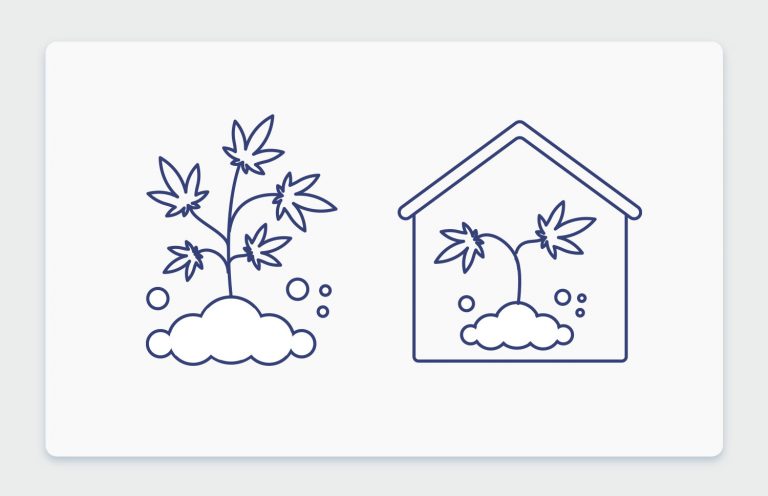 אינדור או אאוטדור? כל ההבדלים בין גידול פנים לגידול חוץ