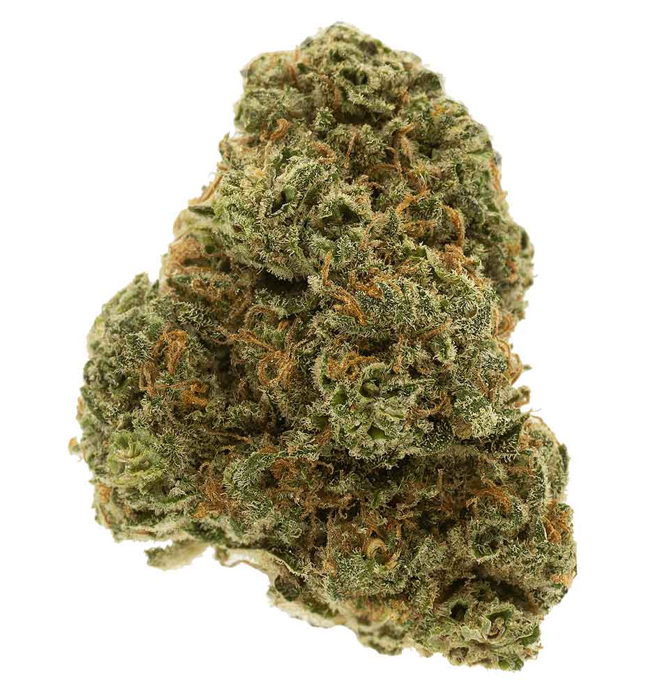 תפרחת אוויר