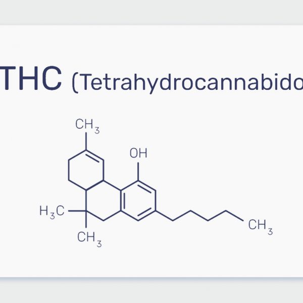 מה זה טי אייץ' סי THC? כל מה שצריך לדעת על הקנבינואיד Tetrahydrocannabinol