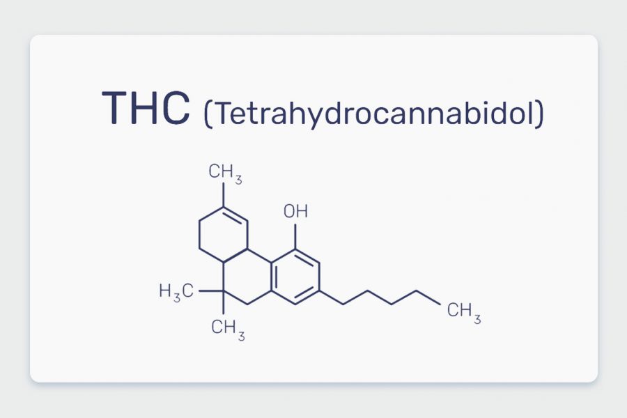 מה זה טי אייץ' סי THC? כל מה שצריך לדעת על הקנבינואיד Tetrahydrocannabinol