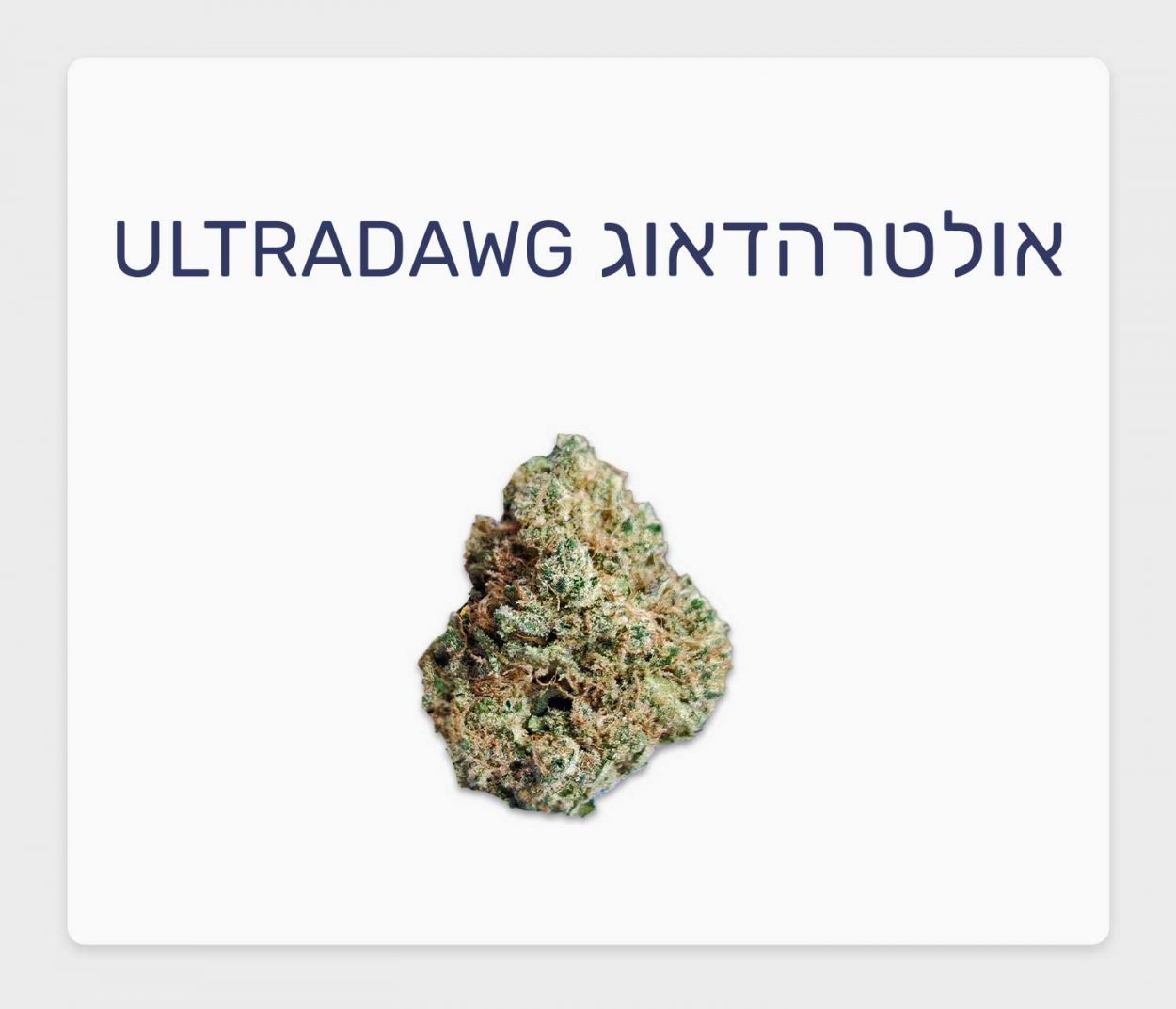 סקירת זן אולטרהדאוג – תפרחת קנאביס רפואי T20/C4 סאטיבה