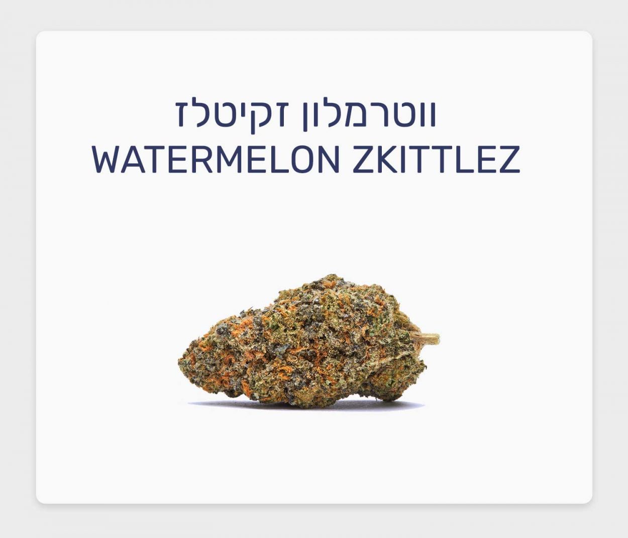 סקירת זן ווטרמלון זקיטלז – תפרחת קנאביס רפואי, גידול בוטיק קנדי של AVANT