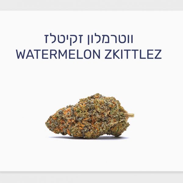 סקירת זן ווטרמלון זקיטלז – תפרחת קנאביס רפואי, גידול בוטיק קנדי של AVANT