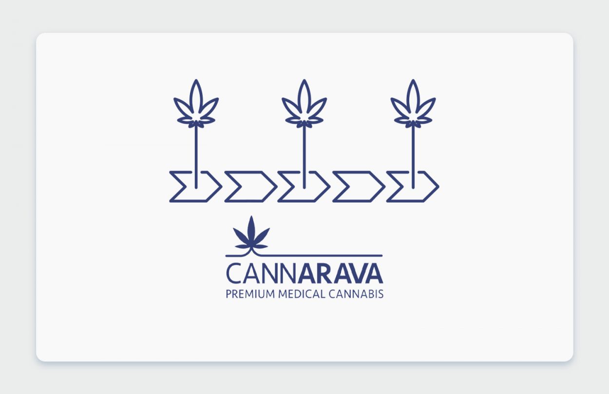 רצף טיפולי בקנאביס רפואי: חברת קנערבה מסבירה איך היא מקיימת את המושג החשוב