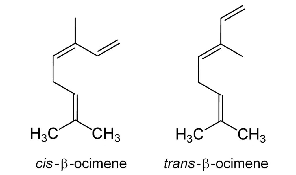 מולקולת אוסימין