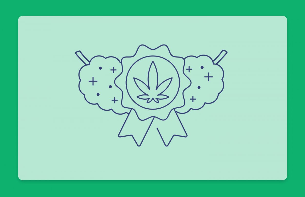 מה זה קנאביס קראפט Craft Cannabis? הדור הבא של קנאביס איכותי