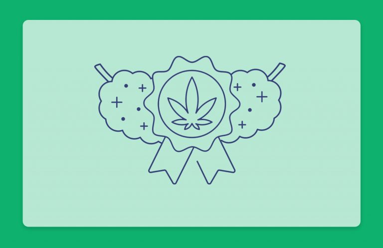 מה זה קנאביס קראפט Craft Cannabis? הדור הבא של קנאביס איכותי