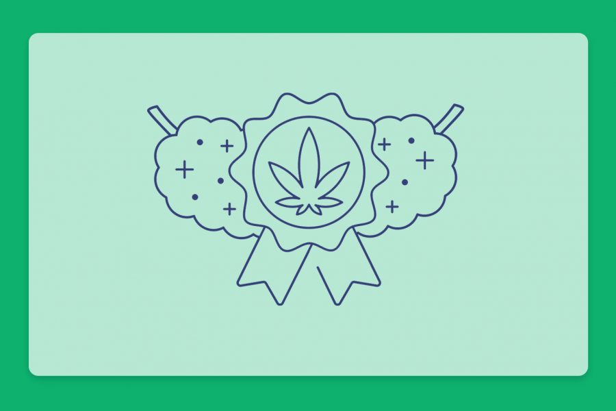 מה זה קנאביס קראפט Craft Cannabis? הדור הבא של קנאביס איכותי