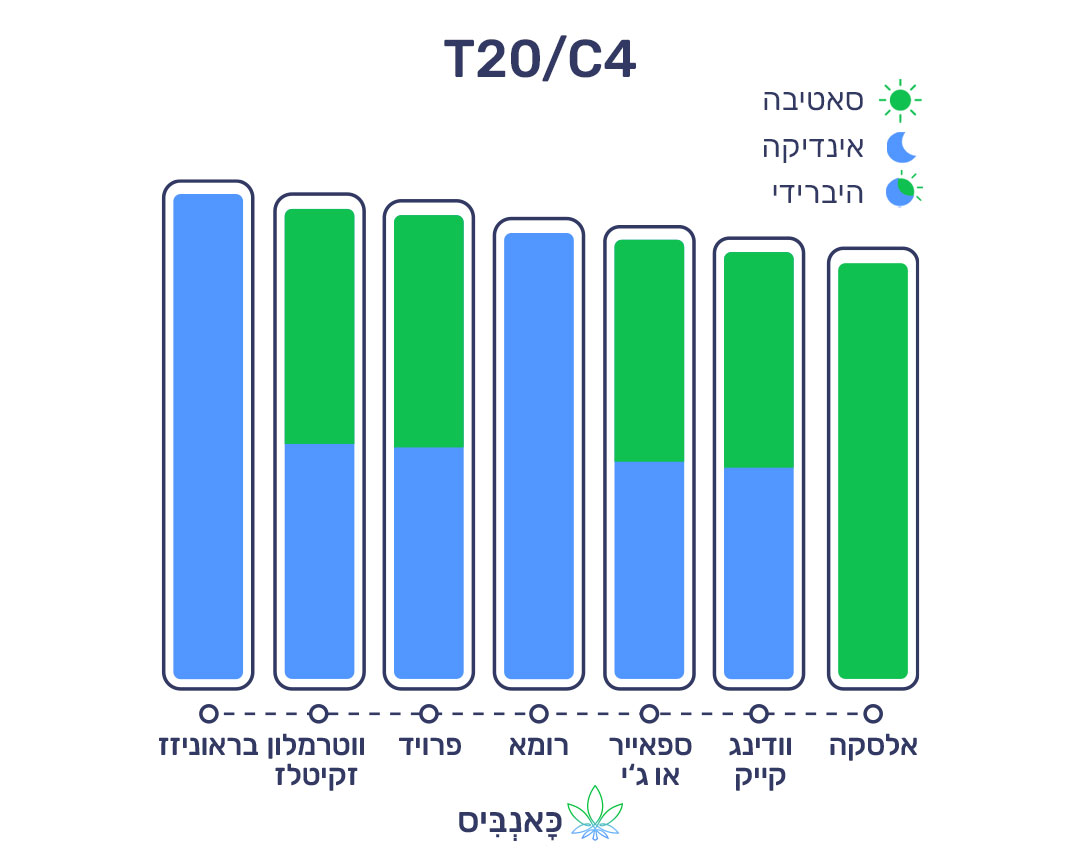10.7.22 דירוג זנים T20