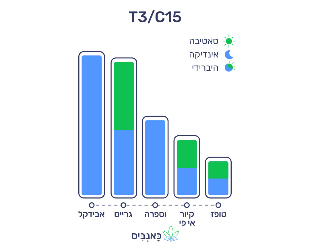 10.7.22 דירוג זנים T3