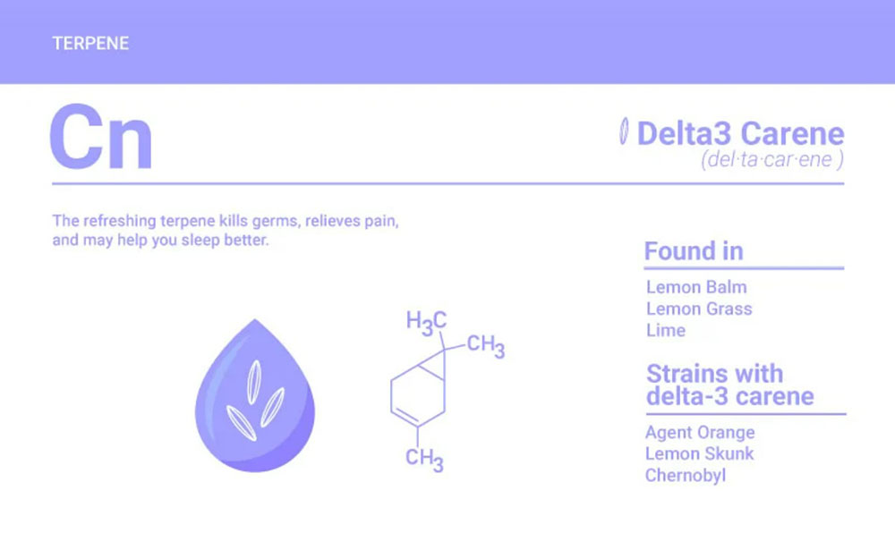 Delta-3-carene ,יתרונות טיפוליים